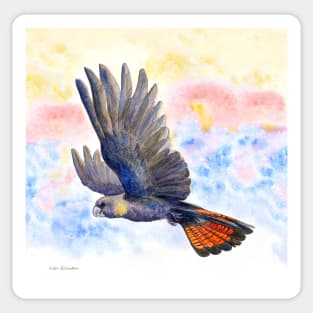 Glossy Black Cockatoo Sunrise - watercolour original design by Nadya Neklioudova Sticker